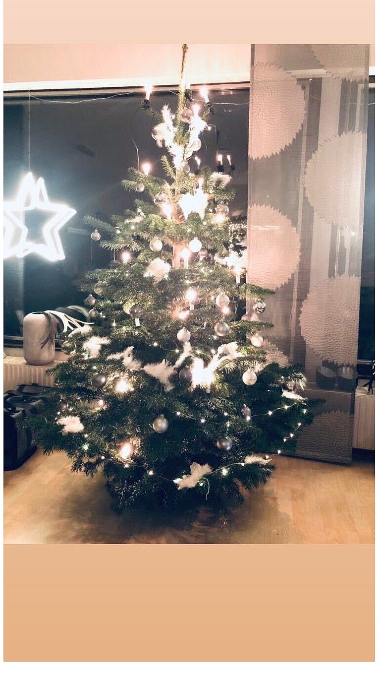 Weihnachtsbäume in Lippe
