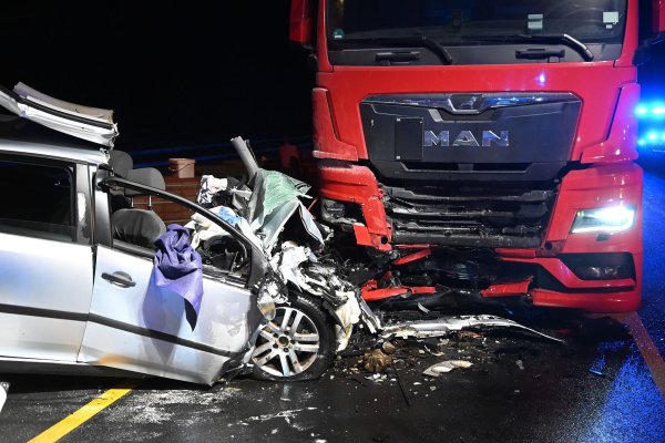 Der Autofahrer und sein Hund überlebten den Aufprall nicht. - © ---/Guido Bludau/dpa