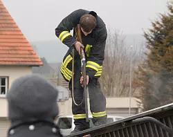 Ein Feuerwehrmann musste drei Rinder, die im umgekippten Transporter lagen, erschie&szlig;en. - &copy; FOTO: ANDREAS EICKHOFF