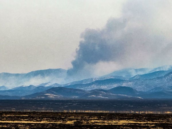 Das "Madre Fire" ist das bislang größte Feuer in Kalifornien in diesem Jahr. - © Amy Katz/ZUMA Press Wire/dpa