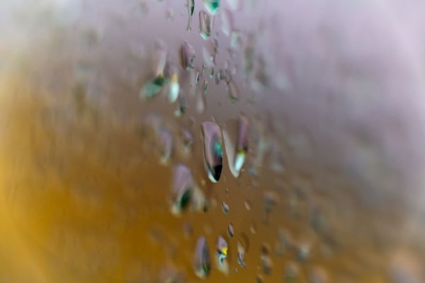 Nach unwetterartigen Regenschauern beruhigt sich das Wetter zum Wochenende. Die Temperaturen steigen über 20 Grad, in den Nächten wird es teils frostig. (Symbolbild) - © Thomas Banneyer/dpa