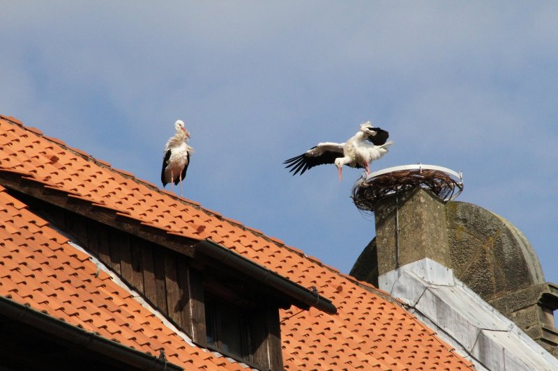 Hitzewelle Im Anflug: Wetter: Eu Klimadienst Meldet Drittwärmsten Juli – Sind Sie Bereit? - upsv8vh
