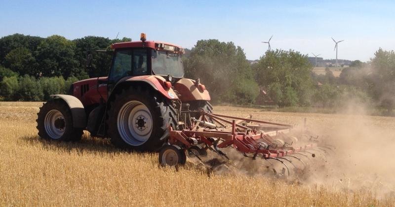 Die Dürre in den Böden wird noch Jahre anhalten | Nachrichten aus