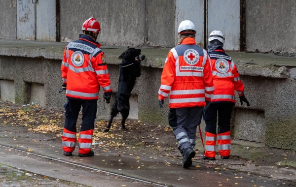 Mehrere Rettungshundestaffeln suchen in Güstrow nach einem Jungen. - © Stefan Sauer/dpa