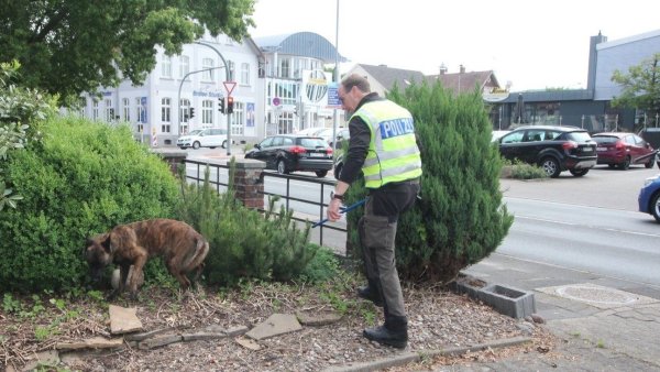 Suche: Die Polizei setzte im Verlauf des Vormittages auch Spürhunde ein. - © Jobst Lüdeking