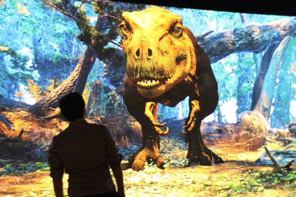 Schau zu Tyrannosaurus rex - © Foto: Christina Horsten