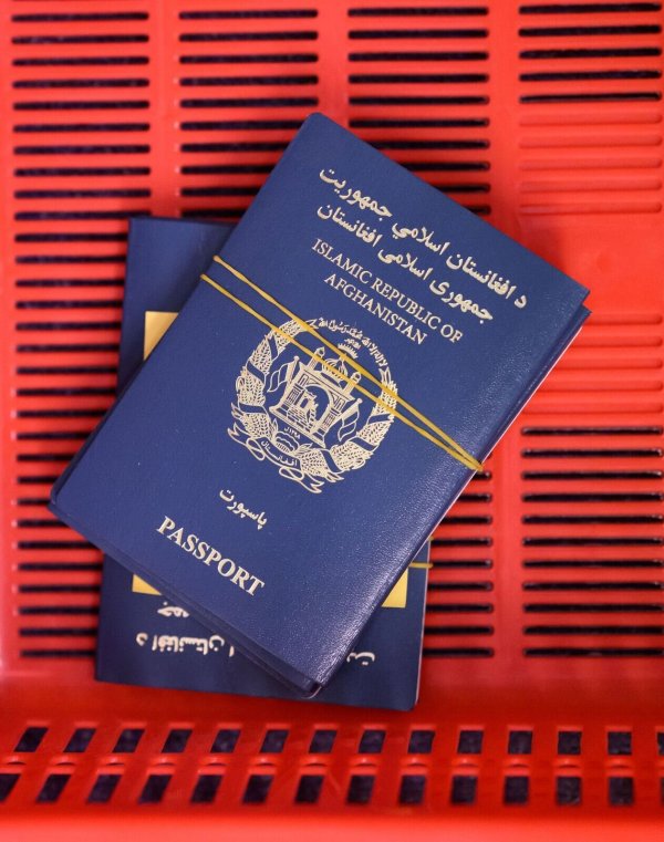 Kritiker warnen vor der Übernahme sensibler Daten - © Bernd von Jutrczenka/dpa