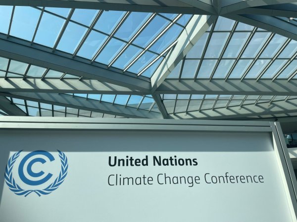 Das Klimasekretariat der Vereinten Nationen hat seinen Sitz in Bonn. - © Christoph Driessen/dpa