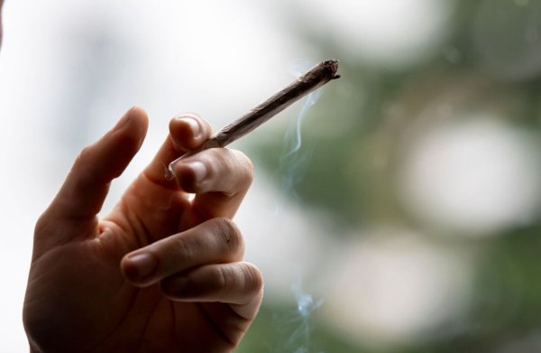 SPD, Grüne und FDP wollen eine kontrollierte Abgabe von Cannabis an Erwachsene zu Genusszwecken in lizenzierten Geschäften einführen. - © Fabian Sommer/dpa