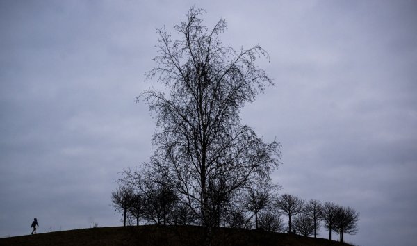 Nicht jeder, der sich im Winter niedergeschlagen fühlt, leidet unter einer Winterdepression. - © Julian Stratenschulte/dpa/dpa-tmn