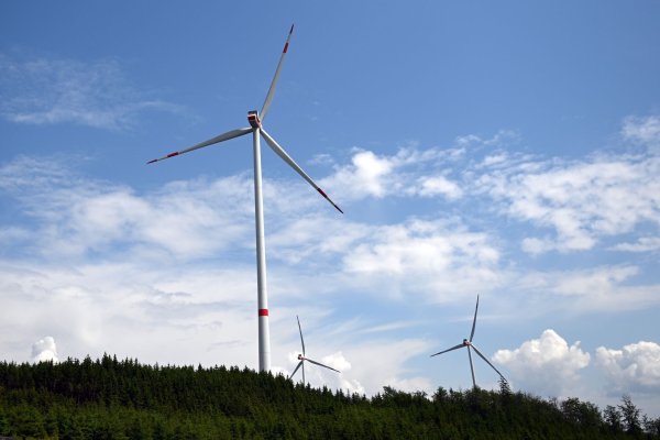 In NRW wurden in den ersten zehn Monaten so viele Windräder genehmigt wie noch nie: 558. Auch im Bundesländervergleich liegt NRW damit vorn. - © Federico Gambarini/dpa