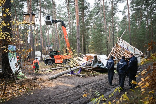 Die Baumhäuser im aufgelösten Tesla-Protestcamp sollen verschwinden. Die Polizei lässt die Reste des Lagers entsorgen. - © Sebastian Christoph Gollnow/dpa