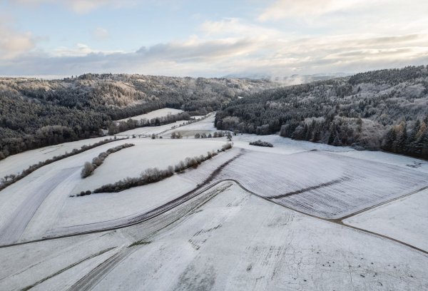 Der DWD warnt vor starkem Schneefall. - © Silas Stein/dpa
