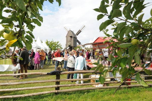 An der Bockwindmühle dreht sich beim Freilichtgenuss in diesem Jahr alles um tierische Produkte. - © André Gallisch