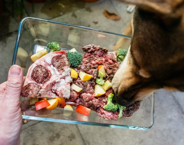 Barf besteht aus rohem Fleisch, Innereien, Knorpelfleisch, Knochen, Obst und Gemüse. - © dpa-tmn