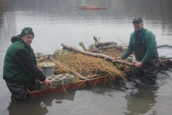 Detlef Lamprecht (links) und Lutz Jänicke von der Firma Gerber Garten- und Landschaftsbau bringen die Inseln nach dem Stapellauf zu ihren Schwimmplätzen, wo sie verankert werden. - © Reinhold Sölter
