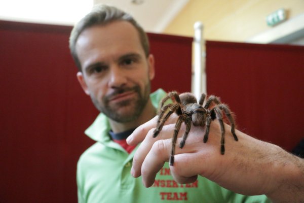 Bei der Ausstellung im Bad Meinberger Kurtheater gibt es Montag auch einen Streichelzoo. Eine einmalige Gelegenheit also für die Besucher, mit einer Vogelspinne näheren Kontakt aufzunehmen. - © Foto: Privat