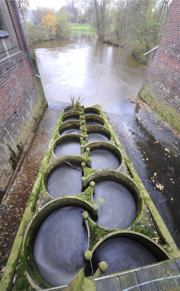 Die Fischtreppe der restaurierten Wassermühle Steyerberg liegt zwischen dem Wohnhaus (l) und dem Mühlengebäude in Steyerberg (Landkreis Nienburg) (Foto vom 09.11.2008). Der Landschaftsverband Weser-Hunte hat eine neue Auflage seines Mühlenführers herausgebracht. Darin seien 33 gut erhaltene und sehenswerte Wasser- und Windmühlen in den Landkreisen Nienburg/Weser und Diepholz zu bewundern, teilte der Verband mit. Seit 1991 wurden Restaurierungsarbeiten an den Mühlen mit rund 550 000 Euro gefördert. - © Jochen Lübeke dpa