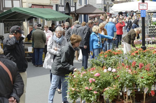 Am Muttertag lockt der Blumen- und Bauernmarkt nach Blomberg. - © Archivfoto: Karl-Heinz Krull