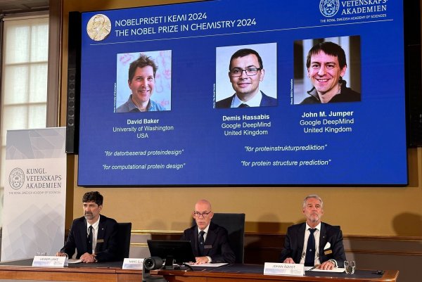 Der Nobelpreis für Chemie geht in diesem Jahr zu einer Hälfte an David Baker (USA), zum anderen Teil zusammen an Demis Hassabis und John Jumper, die beide in Großbritannien arbeiten. - © Steffen Trumpf/dpa