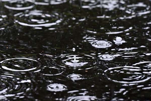 Der Deutsche Wetterdienst warnt bis Donnerstag vor Dauerregen in mehreren Gebieten Nordrhein-Westfalens. (Symbolbild) - © Federico Gambarini/dpa