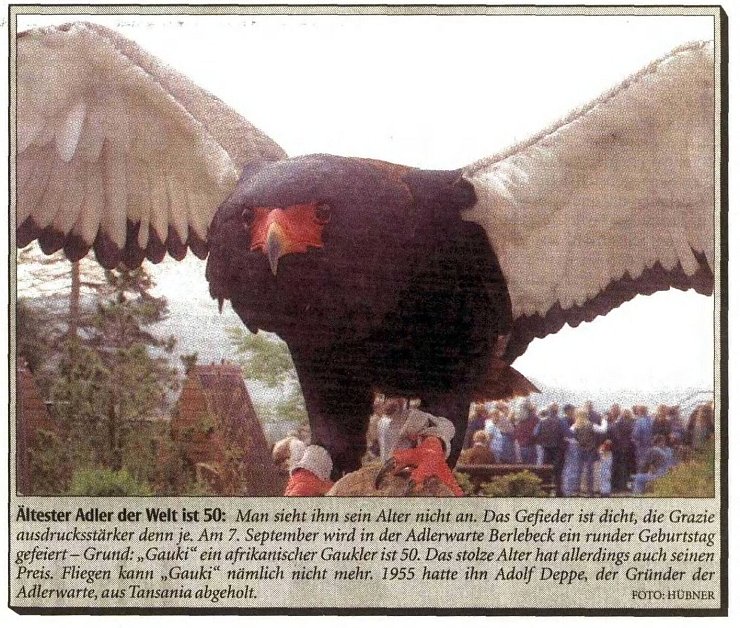 Party auf der Adlerwarte! - © Huebner/LZ, 8. September 2003