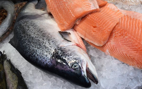 Lachs - © Foto: dpa