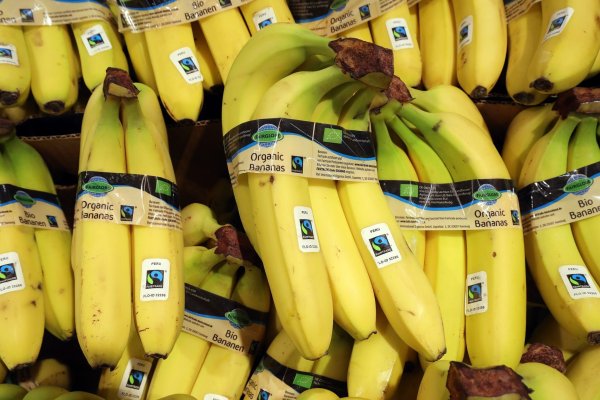 Bei Bananen ist die Nachfrage zuletzt besonders rasant gestiegen. - © Wolfgang Kumm/dpa