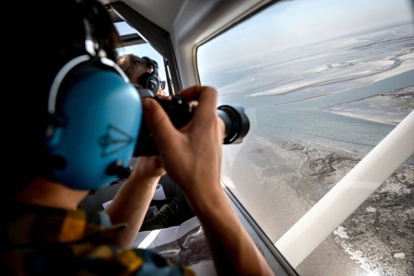 Aus der Luft zählen und fotografieren Experten Alt- und Jungtiere, die sich bei Ebbe ausruhten. - © Sina Schuldt/dpa