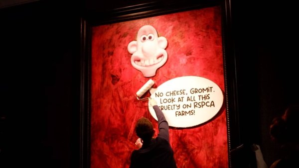 Mitglieder von Animal Rising kleben das Gesicht der beliebten Comicfigur Wallace über ein Porträt des britischen Königs Charles III. in der Philip-Mould-Galerie. - © -/Animal Rising /dpa
