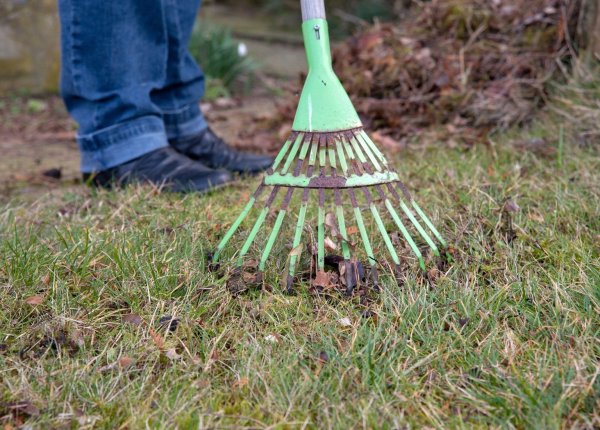Wohin mit dem Laub? - © Foto: Andrea Warnecke/dpa-tmn