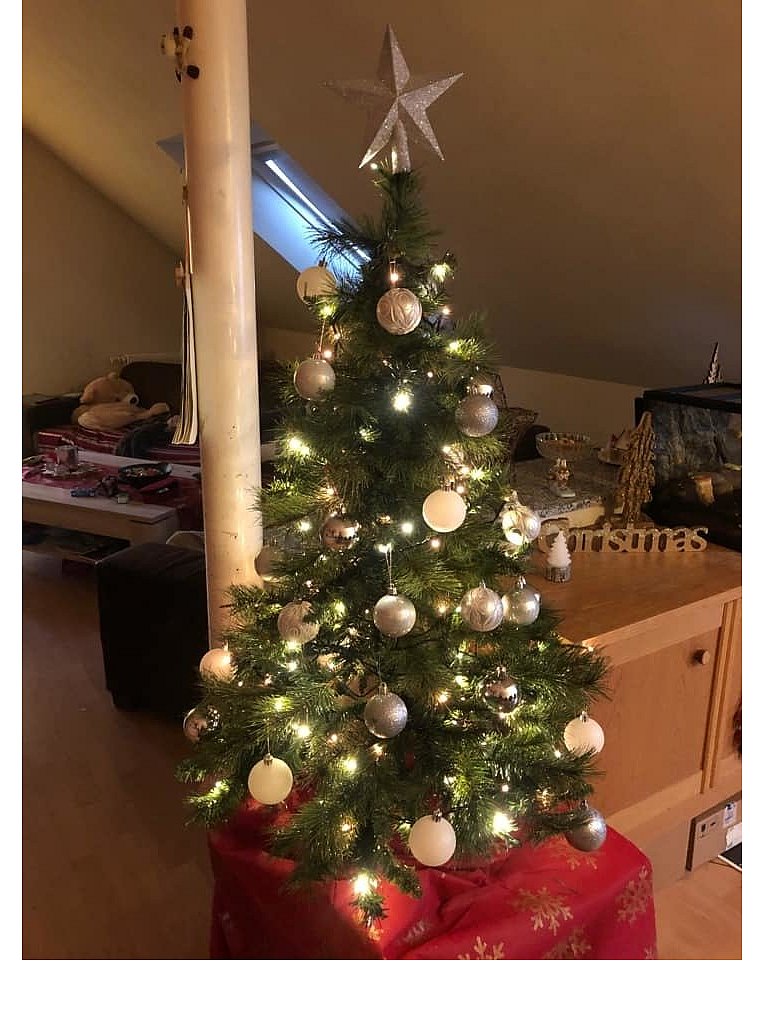 Weihnachtsbäume in Lippe