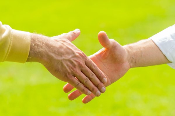 Hände reichen - © Foto: Mohssen Assanimoghaddam/dpa