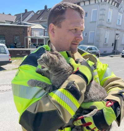 Viel Stress für die kleine Samtpfote, glücklicherweise ist ihr augenscheinlich nicht viel passiert. - © Feuerwehr Lage