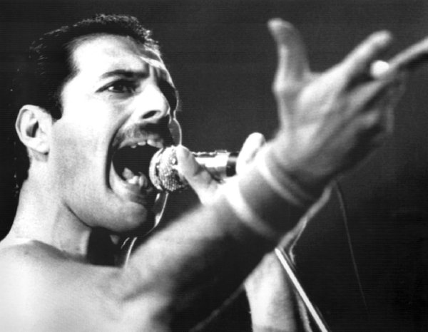 Der Queen-Sänger Freddie Mercury starb im Jahr 1991. - © dpa