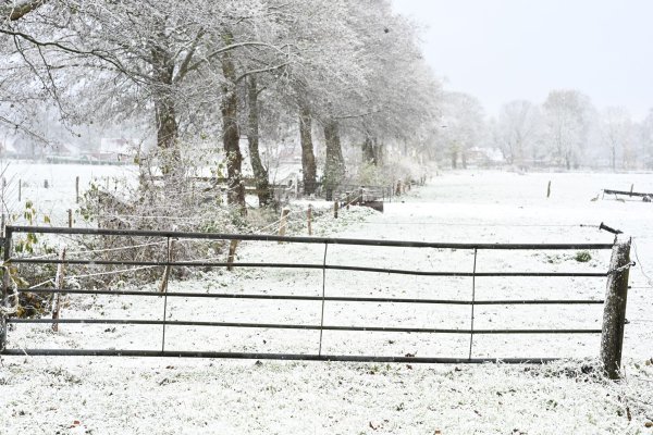 Weiteren Schnee sagt der Deutsche Wetterdienst frühestens am Sonntag vorher. - © Lars Penning/dpa