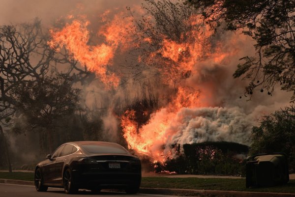 Das «Palisades Fire» wütet inmitten starker Winde. - © Damian Dovarganes/AP/dpa