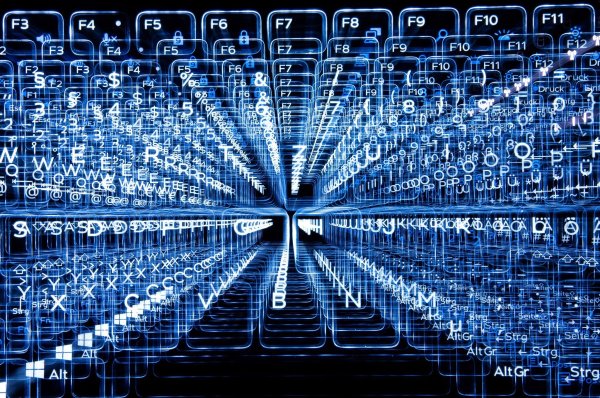 Die Digitalwirtschaft in Deutschland trotzt in diesem Jahr der Konjunkturschwäche und wächst kräftig. - © Sebastian Gollnow/dpa