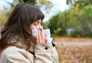 Erkältungszeit in Deutschland - Elisa Schu/dpa