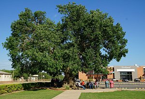 Ein neues Leben in Paraguay