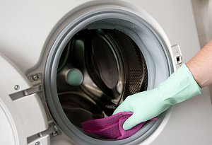 Eine Person reinigt die Gummidichtung einer Waschmaschine - Sonya Schönberger/dpa-tmn