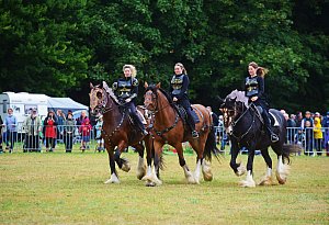 "Pferdestark 2025" auf Schloss Wendlinghausen