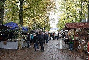Bauernmarkt in Horn-Bad Meinberg