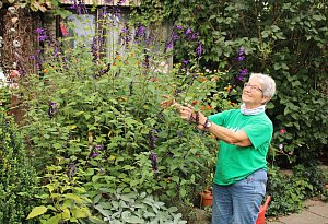 Extertalerin zeigt ihren Gewinner-Garten