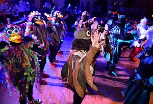 31. Storchenkarneval in Donop