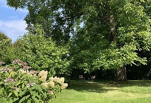 Sommeroasen: So verbringen die Lipper ihren Sommer