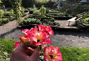 Das Umweltzentrum Bad Salzuflen im Herbst