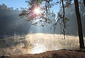 Winterfotos der LZ.de-Leser