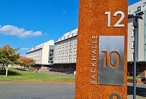 Aufarbeitung der archäologischen Funde aus Schieder