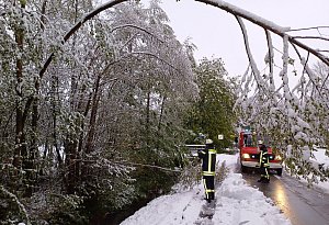 Wintereinbruch in Lippe